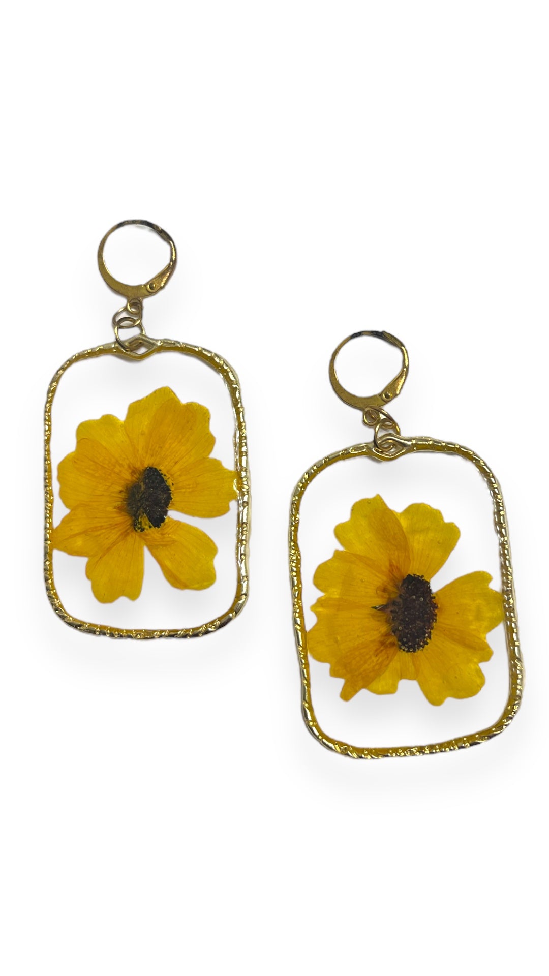 Garden Sunflower Windows